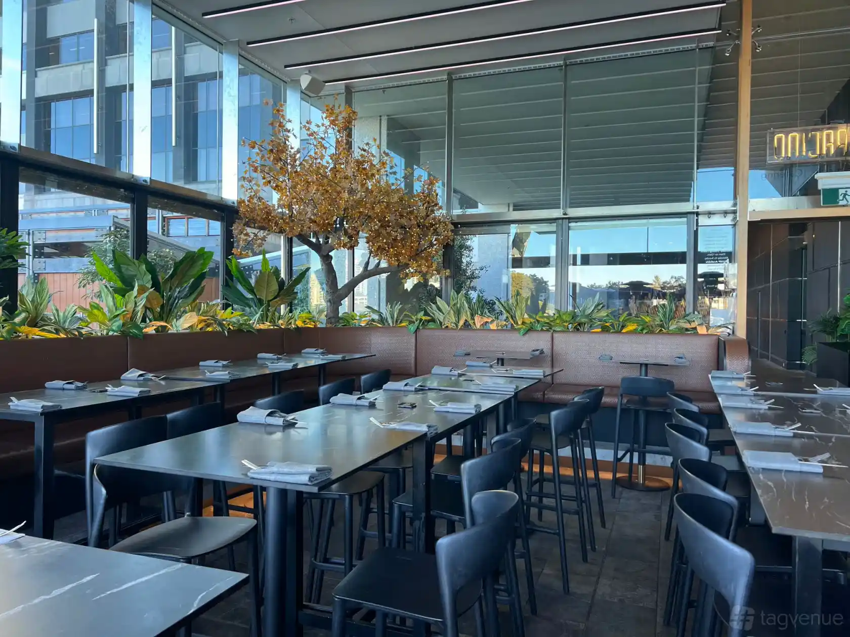 Tree Room, Bar Pacino